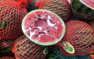 吃瓜群众月球,神秘天体的奇幻之旅