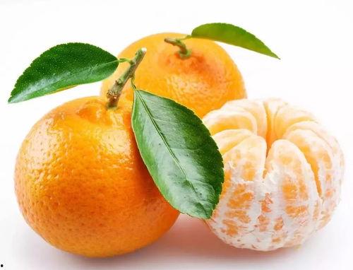 pip子吃瓜,揭秘Python包管理背后的趣味与智慧