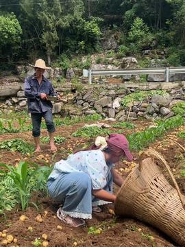 吃瓜哥曹县,揭秘网络红人的崛起之路