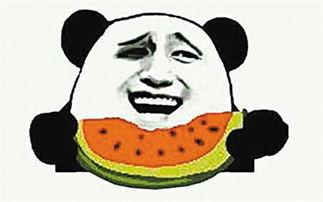 假吃瓜真吃瓜什么意思啊,网络热词背后的真实含义