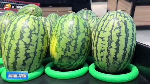 吃瓜支线怎么开,解锁趣味游戏新玩法