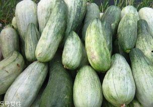 吃瓜老的好处,品味人生，笑对风云的智慧之道