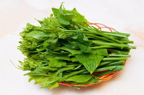 大苦丁瓜怎么吃,解锁健康美味新体验