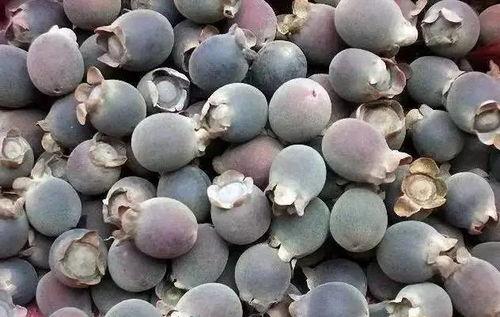 甲瓜怎么吃,解锁美味新体验