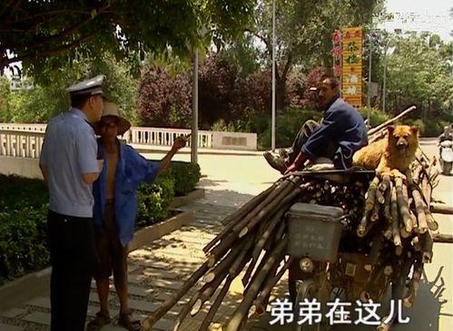 谭大爷吃瓜,一场别开生面的吃瓜盛宴