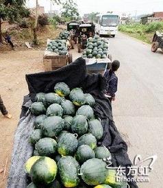 南宁吃瓜事件后续,真相发酵，后续影响持续发酵