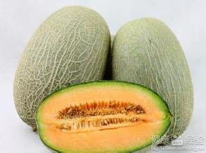 哈密瓜吃的嗓子,夏日清凉美食之旅