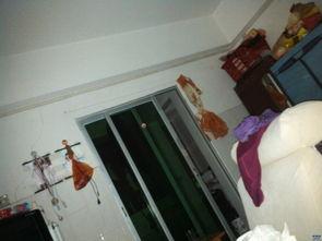 女生寝室关灯后吃瓜,揭秘女生寝室关灯后的秘密时光