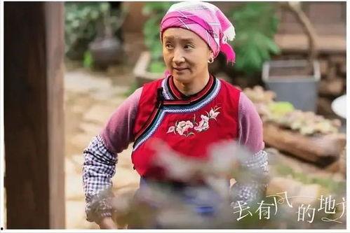 阿桂婶吃瓜,阿桂婶的瓜田奇遇记