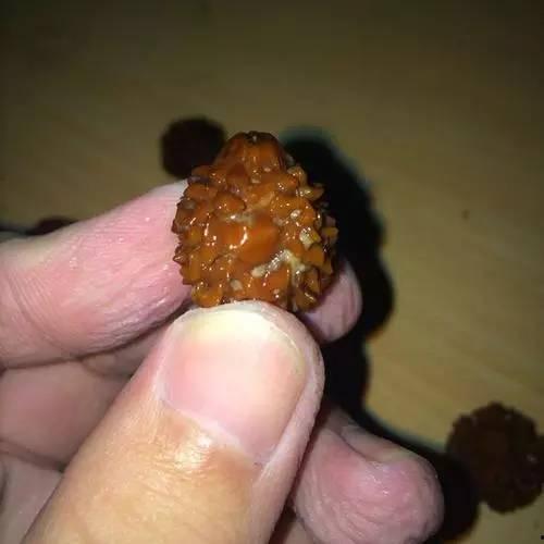 金刚上厕所吃大瓜,厕所奇缘，大瓜美食之旅