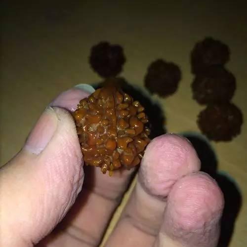 金刚上厕所吃大瓜,厕所奇缘，大瓜美食之旅