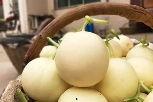 泡沫吃瓜,揭秘网络舆论场的狂欢与反思