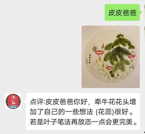 云诗吃瓜董雨婷,揭秘娱乐圈背后的故事