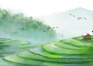 云诗吃瓜董雨婷,揭秘娱乐圈背后的故事