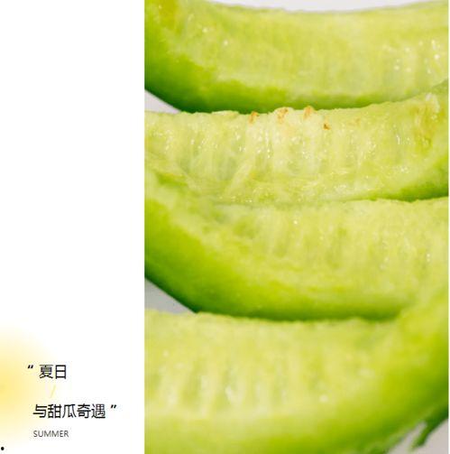 溧阳人吃瓜,探寻地方特色美食的传承与创新