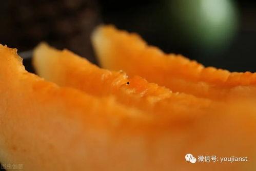 认真吃瓜壁纸高清,带你领略视觉盛宴