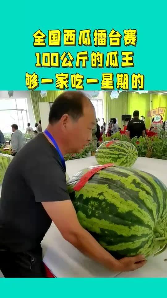 压力吃瓜擂台,一场趣味横生的心理减压盛宴