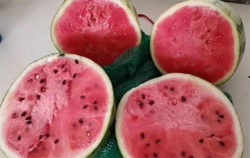 吃麒麟瓜过敏,揭秘过敏源与应对策略