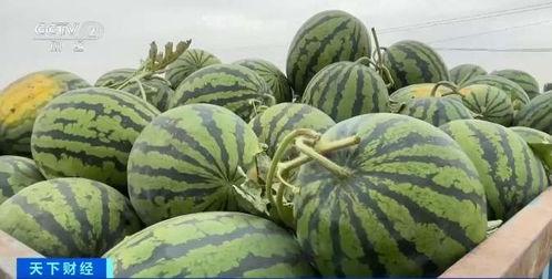 新华城吃瓜,吃瓜群众的热闹盛宴