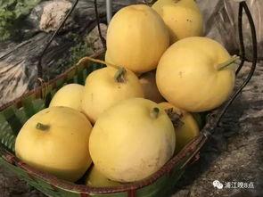 吃瓜的群众气质,揭秘网络热议背后的真实心态