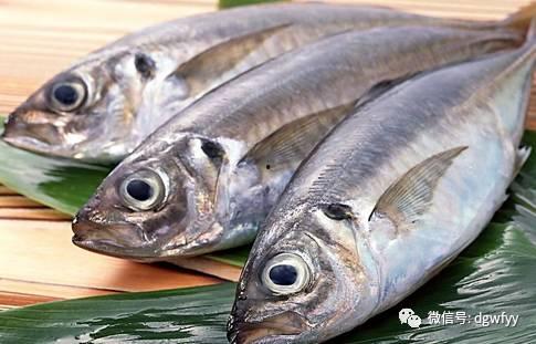 孕妇吃淡水瓜鱼,孕妇适量食用淡水瓜鱼的健康益处