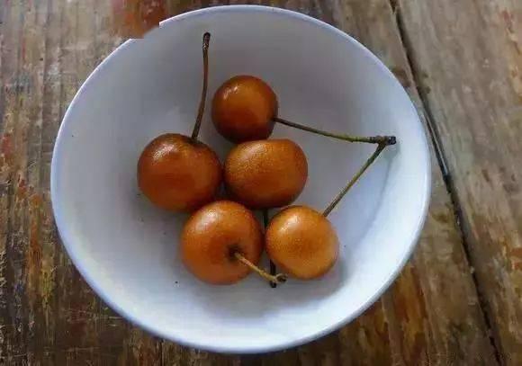 山货君吃蜜瓜视频,一场视觉与味蕾的双重享受