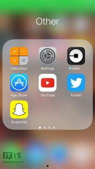 大虫子吃瓜软件,揭秘网络社交新潮流