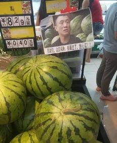 mileapo在线吃瓜,在线吃瓜界的风云人物