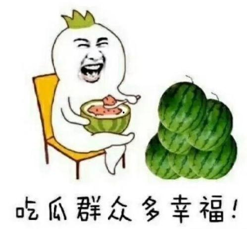 娱乐吃瓜君什么瓜,娱乐圈最新重磅瓜料大公开！