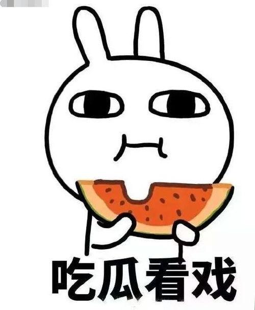 加菲吃瓜图,萌宠美食瞬间，笑翻网友