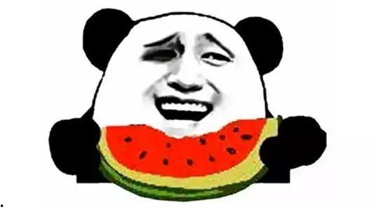 加菲吃瓜图,萌宠美食瞬间，笑翻网友