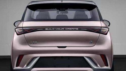 比亚迪海豚吃瓜