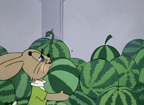 蚂蚁瓜人可以吃吗,揭秘其食用价值与食用方法