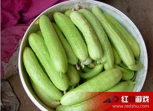 系统吃瓜日常,揭秘虚拟世界的酸甜苦辣