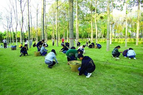 升达经贸长椅吃瓜,见证校园吃瓜文化的独特风景