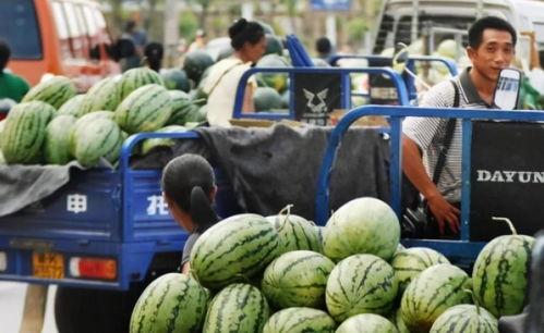 新港服装城吃瓜,吃瓜群众的热闹盛宴