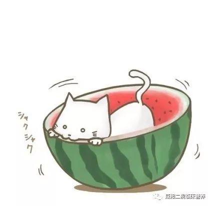 qq图片吃瓜啥意思,从QQ图片流行语看网络文化现象