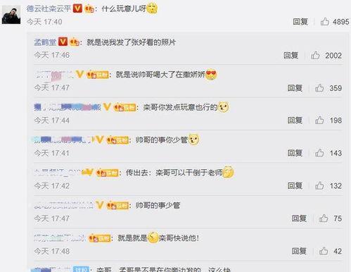 语音评论区吃瓜,吃瓜群众的欢乐盛宴