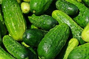 梦见有人送烂瓜给我吃,烂瓜赠礼背后的寓意与启示