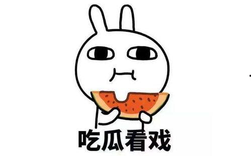 积极吃瓜,解锁快乐生活新姿势