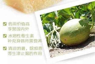 吃蜜瓜的最佳月份,享受最佳口感的时间