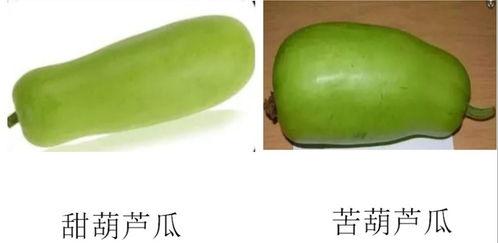 接头发吃瓜,揭秘娱乐圈幕后故事