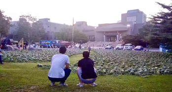 达川中学吃瓜事件,校园风波背后的真相与反思