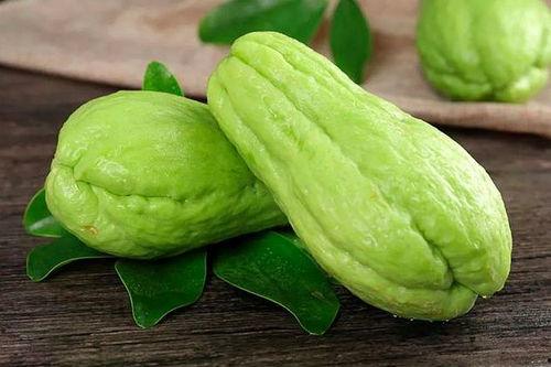 水瓜结瓜多久可以吃,从播种到美味佳肴的蜕变之旅