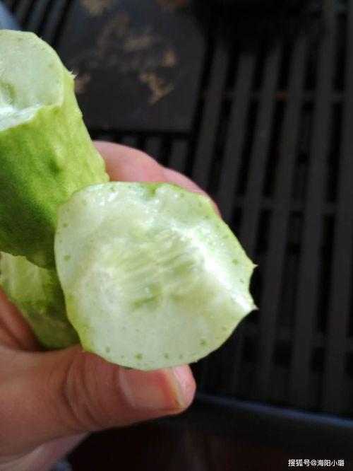 白玉瓜可以剥皮吃吗,美味营养两不误