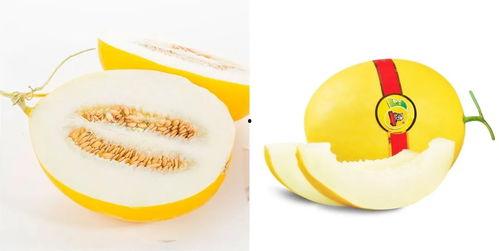 蜜美人蜜瓜怎么吃