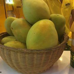 南京世茂吃瓜,揭秘背后真相与争议