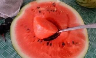 输完液吃瓜过敏