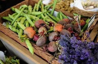 在菜棚吃瓜,瓜香四溢的悠闲时光