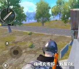 ak带你吃瓜,跟随AK带你吃瓜，一探究竟